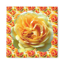 Yellow Rose Bloom Magnets