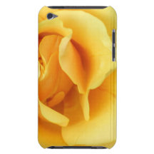 Yellow Rose Blossom iTouch Case iPod Touch Case-Mate Case