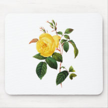 Yellow Rose by Pierre Joseph Redoute Mousepads