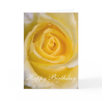 Yellow rose ... card