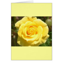 Yellow Rose Cards