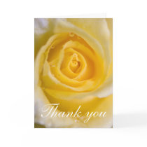 Yellow rose ... card