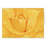 Yellow Rose Card