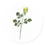 Yellow Rose Clipart