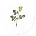 Yellow Rose Clipart stickers