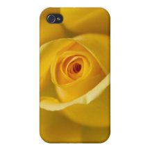 Yellow Rose Flower iPhone 4/4S Case