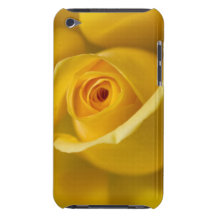 Yellow Rose Flower iPod Case-Mate Cases