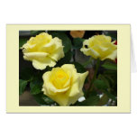 Yellow Rose Greeting Card