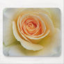 Yellow Rose IMG_0874 Mouse Pad