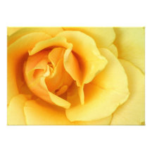 Yellow Rose Invitation