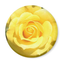 Yellow Rose Fridge Magnets