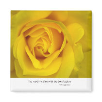 Yellow Rose Refrigerator Magnet