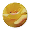 Yellow Rose Magnet