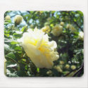 Yellow Rose, Mouse Pad mousepads