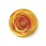 Yellow Rose of Texas Magnet