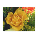 Yellow Rose | postcards