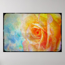 Yellow Rose Poster