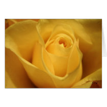 Yellow Rose, S Cyr Greeting Card