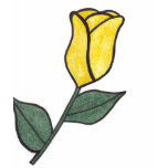 Yellow Rose Sketch Tank t-shirts