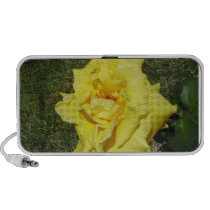 Yellow Rose Speaker