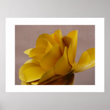 Yellow Rose Steel-Print