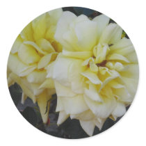 Yellow Rose Sticker