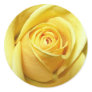 yellow rose sticker