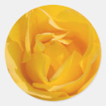 Yellow Rose Sticker
