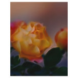 Yellow rose with pink and meaning flyers