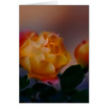 Yellow rose with pink and meaning greeting cards