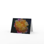 Yellow rose with pink and meaning greeting cards