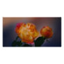 Yellow rose with pink and meaning photo greeting card