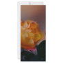 Yellow rose with pink and meaning customized rack card