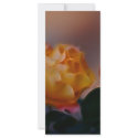 Yellow rose with pink and meaning rack cards