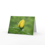 Yellow rosebud card