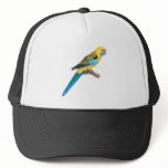 Yellow Rosella sig hats