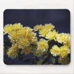 Yellow roses and meaning mouse pad