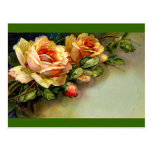 Yellow Roses Post Cards