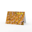 Yellow Rubber Ducks 30th Birthday Funny Card