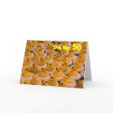 Yellow Rubber Ducks 50th Birthday Funny Card
