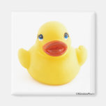 Yellow Rubber Ducks Fridge Magnets