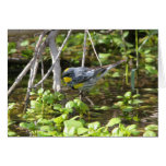 Yellow-rumped Warbler Greeting Card