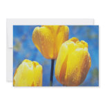 yellow 'Santiaga', Darwin Hybrid Tulips flowers invitations