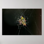 Yellow Spider posters