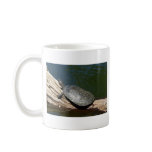 Yellow-spotted Amazon turtle mugs