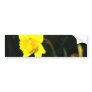 Yellow Staring Bumper Sticker
