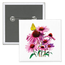 Yellow Sulphur Butterfly on Coneflower Button