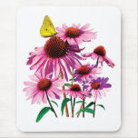 Yellow Sulphur Butterfly on Coneflower mousepads