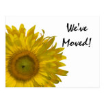 Yellow Sunflower Change of Address Postcard