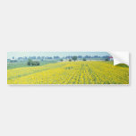 yellow Sunflower field in eastern Croatia flowers Bumper Stickers